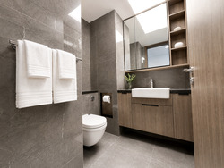 The M (D7), Apartment #575303451